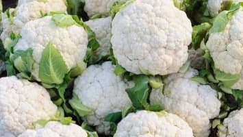 Bloemkool kun je in allerlei gerechten verwerken: soep, puree, stampot, overschotel, etc Bloemkool is gezond en makkelijk